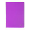 Picture of A4 DISPLAY BOOK X80